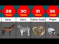 Animals Lifespans Comparison | How Long Animal Lifespan