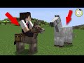 239 Minecraft Secrets You Didn't Know Existed