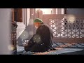 Be Namazi Ka Anjam/Those who do not pray  |tariq jameel|emotional bayaan