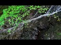 愛蓮の滝 （岐阜県下呂市） Airen Falls（Gifu,Japan）