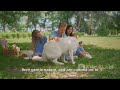 What Makes the Great Pyrenees so GREAT!?!