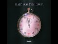 Wait For The Drop (VIP Edit)