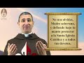 Novena a Nuestra Señora de la Asunción🕯️con el Padre Jose Bernardo📖 Caballeros de la Virgen🙏