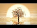 You Are Enough - A Guided, Healing Mindfulness Meditation (13 Minutes)
