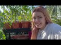 My Plot is WILD.... | Allotment Vlog 🌻 Ep.28 🌻