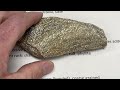 Rock Identification with Willsey: Foliated Metamorphic Rocks - Slate, Phyllite, Schist, and Gneiss