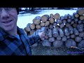 Lots of knots in Spruce and Pine...Firewood splitting | Wallenstein WXR 720L Logsplitter