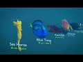Sea Monsters Size Comparison | Fish Size Comparison | 3d Animation Comparison