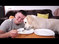 Spaghetti Eating Competition: My Golden Retriever Dog vs. Me