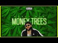 Money Man • Money Trees • Full MixTape | PHV 🔥