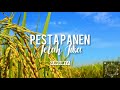 SUNSURYA - PESTA PANEN TELAH TIBA ( Official Audio Original Song )