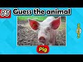 Guess The Animal Quiz || Guess 100 Animals 🐼🐯