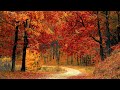 Las Cuatro Estaciones (Four Seasons) - Vivaldi