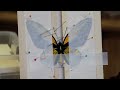 How To Pin a Butterfly.mov