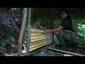 Full Video: 60 Days of Survival Alone in the Rainforest, Living & Bushwalking