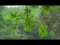 Healing music that warms the body and mind 🍇 relaxing music,meditation music,stress relieving music