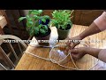 How to make a plant hanger from rope.
