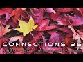 Connections 36: Melodic Progressic & Organic house (Sep 2023)