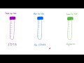 Immune Thrombocytopenia (ITP) — Most COMPREHENSIVE Explanation — Hematology