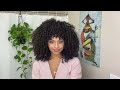 How To: Denman Wash n Go Routine for Defined Curls