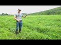 Managing Cattle & Deer?! | It Can Be Done!