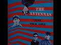 The Antennas - Just Your Love