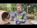 How to make LIME mortar for repointing| 3.5 NHL Lime #construction #howto #diy