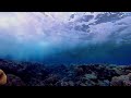 💧 Underwater Waves (10 HOURS) Ocean Waves Crashing with Underwater Sounds 💧