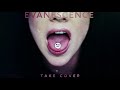 Evanescence - Take Cover (Official Audio)