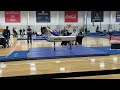 Perfect level 6 pommel horse routine