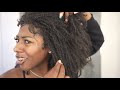 MY TYPE 4 NATURAL HAIR WASH N GO ROUTINE... how to achieve the most defined wash n go ever!!