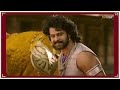Why Prabhas is the Ultimate Pan Indian Superstar of this Era? | Bahubali, Salaar, Kalki | Thyview