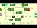 Hazrat Ali Family Tree | Imam Hassan & Hussein Family Tree