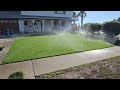 Can You Fix A Bad Lawn In One Year ~ Front Lawn Update
