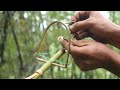 Wild Man: Create Amazing Bird Traps to Catch Forest Birds in The Jungle
