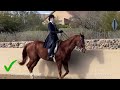Saddles Seat Equitation for beginners