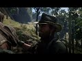 You probably don't know this beautiful rare horse|Red Dead Redemption 2