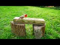Male Cardinal Feeds Female Cardinal | Bird Watching