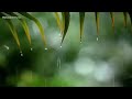 10 Hours of Relaxing Music - Sleep Music with Rain Sound, Piano Music for Stress Relief