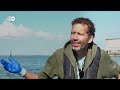 Climate change in the Netherlands - Pioneering coastal management | DW Documentary