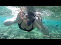 Cleopatra Luxury Resort Sharm el Sheikh snorkeling