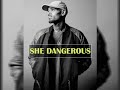 [FREE] Chris Brown, Kid Ink, Ty Dolla $ign Type Beat - She Dangerous