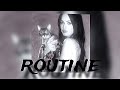 routine-hoarfrost