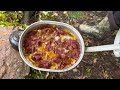 Camping in Heavy Rain - Pastrami Palace Meal