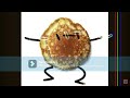 Ma vidéo pancake 2