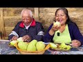 La lluvia llegó y es buen tiempo para Sembrar y Hervir Chayotes