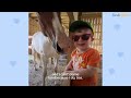 Horse Comes Running When Little Boy Calls Her Name | The Dodo Soulmates