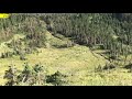 Video: Hikers run from a grizzly bear in Glacier National Park