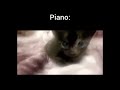 dinky dee cat - piano dub