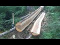 Two secret to a perfect cut logs into planks with a chain saw Slab